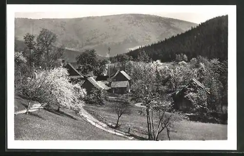 AK Roznov p. Radh., Dolni Paseky