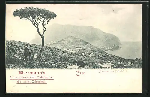 AK Capri, Panorama dal Pal. Tiberio, Reklame für Ebermann`s Mundwasser u. Zahnpulver