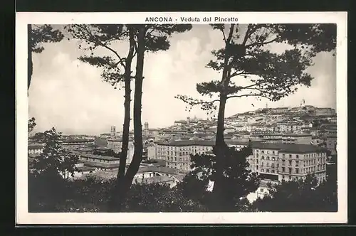 AK Ancona, Veduta dal Pincetto