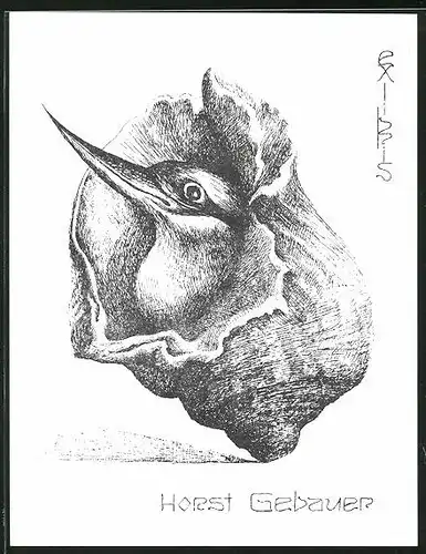 Exlibris Horst Gebauer, Vogel schaut aus einem Cocon heraus