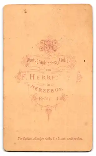 Fotografie F. Herrfurth, Merseburg, Portrait zwei kleine Mädchen in modischen Kleidern