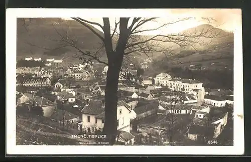 AK Trenc. Teplice, Teilansicht und Baum