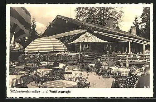 AK Tegernsee, Wildparkrestaurant a. d. Wallbergstrasse