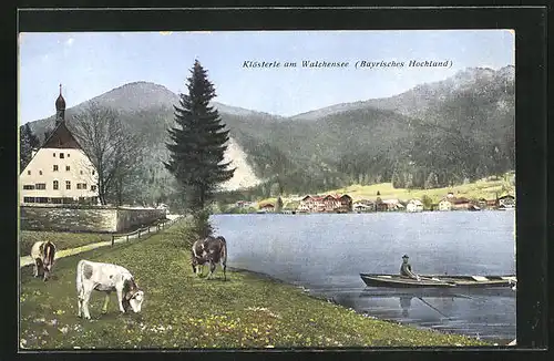 AK Kochel am See, Uferpartie am Walchensee mit weidenden Kühen und Kirche