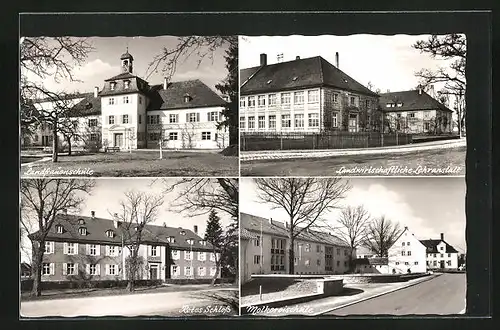 AK Triesdorf /Mfr., Landwirtschaftliche Lehranstalt, Landfrauenschule, Molkereischule