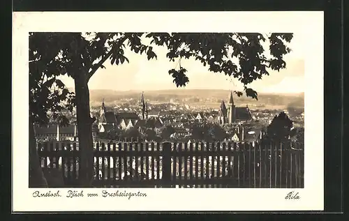 AK Ansbach, Blick vom Drechselsgarten, Teilansicht mit Baum