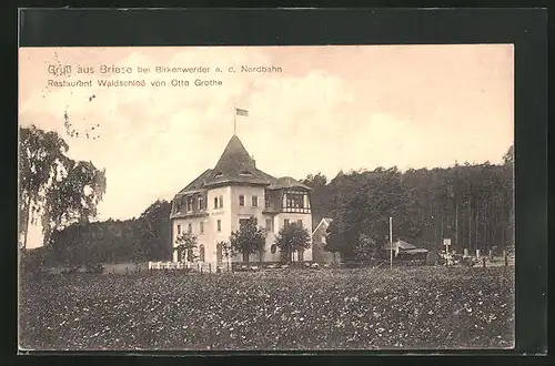 AK Briese, Restaurant Waldschloss, Aussenansicht