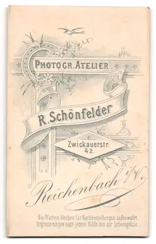 Fotografie R. Schönfelder, Reichenbach i /V., Zwickauerstrasse 42, Portrait junge Dame im karierten Kleid