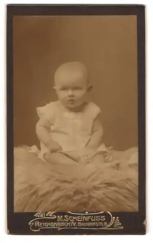 Fotografie Max Scheinfuss, Reichenbach i /V., Bahnhofstrasse 16, Portrait süsses Kleinkind im weissen Hemd