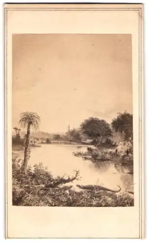 Fotografie unbekannter Fotograf und Ort, Gemälde Urzeit Krokodile am Flussidyll
