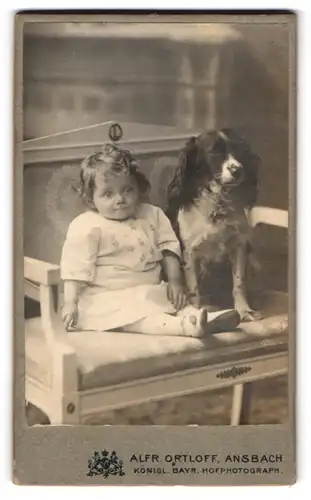 Fotografie Alfr. Ortloff, Ansbach, Karolinenstr. 25, Portrait kleines Mädchen im Kleid mit geflecktem Hund auf Bank