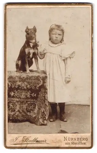 Fotografie J. Stadlmair, Nürnberg, am Sternthor, Portrait junges Mädchen im weissen Kleid mit Hund auf dem Tisch