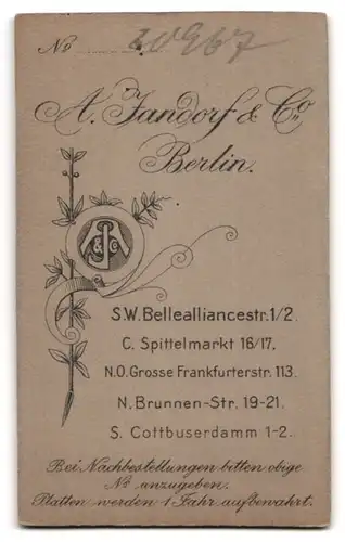 Fotografie A. Jandorf & Co., Berlin, Bellealliancestr. 1/2, Portrait Knabe im Matrosenanzug mit Mützenband Aviso Freya