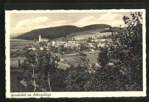 AK Giesshübel /Adlergebirge, Panorama mit Kirche