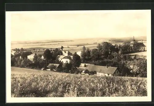 AK Javornice, Panorama mit Kirche