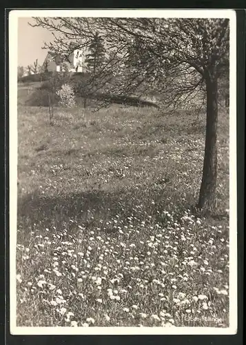 AK Ober-Tüllingen, Blick von einer Sommerwiese zur Kirche