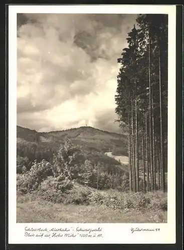 AK Schlechtbach /Schwarzwald, Blick auf die Hohe Möhr