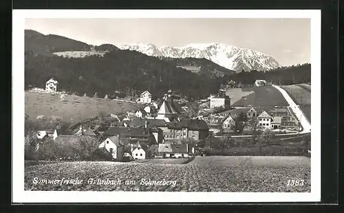 AK Grünbach am Schneeberg, Teilansicht