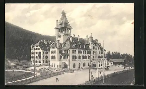 AK Semmering, Hotel Erzherzog Johann