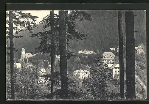 AK Kipsdorf i. sächs. Erzgeb., Blick auf den Ort