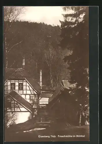 AK Eisenberg /Thür., Froschmühle im Mühltal