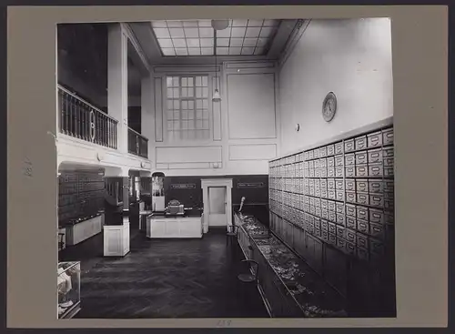 537 Fotografien Ansicht Mannheim, Fam. Daut Mannheim Strumpfwarenfabrik geründet 1865 Familienchronik, 33 x 24cm