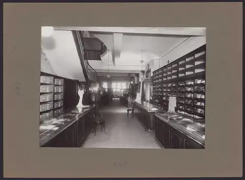 537 Fotografien Ansicht Mannheim, Fam. Daut Mannheim Strumpfwarenfabrik geründet 1865 Familienchronik, 33 x 24cm