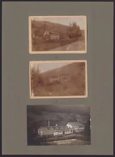 537 Fotografien Ansicht Mannheim, Fam. Daut Mannheim Strumpfwarenfabrik geründet 1865 Familienchronik, 33 x 24cm