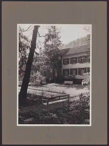 537 Fotografien Ansicht Mannheim, Fam. Daut Mannheim Strumpfwarenfabrik geründet 1865 Familienchronik, 33 x 24cm