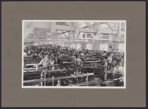 537 Fotografien Ansicht Mannheim, Fam. Daut Mannheim Strumpfwarenfabrik geründet 1865 Familienchronik, 33 x 24cm