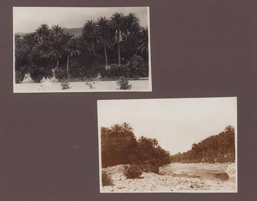 Fotoalbum 65 Fotografien, Ansicht Algerien, Stadtansichten von Tebessa, Algier, Ruinen der Antike 10