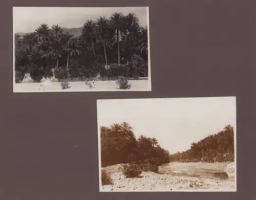 Fotoalbum 65 Fotografien, Ansicht Algerien, Stadtansichten von Tebessa, Algier, Ruinen der Antike