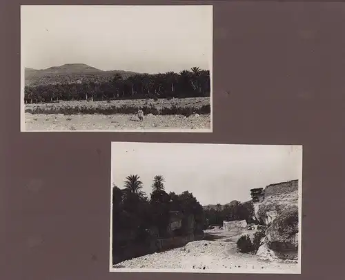 Fotoalbum 65 Fotografien, Ansicht Algerien, Stadtansichten von Tebessa, Algier, Ruinen der Antike