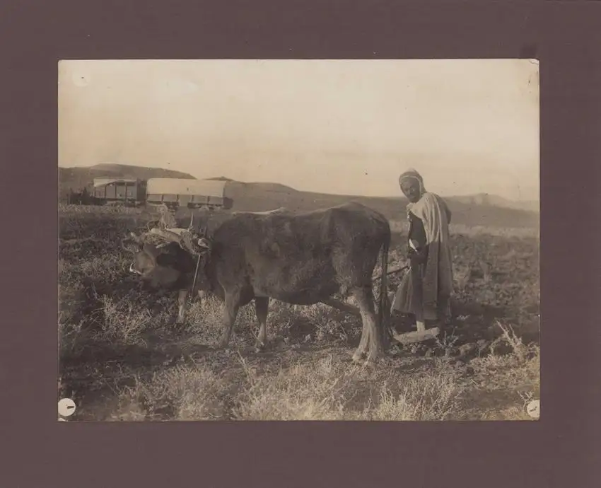 Fotoalbum 65 Fotografien, Ansicht Algerien, Stadtansichten von Tebessa, Algier, Ruinen der Antike 6