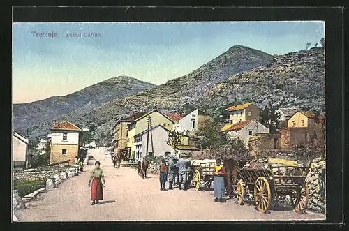 AK Trebinje, Zasad Carina