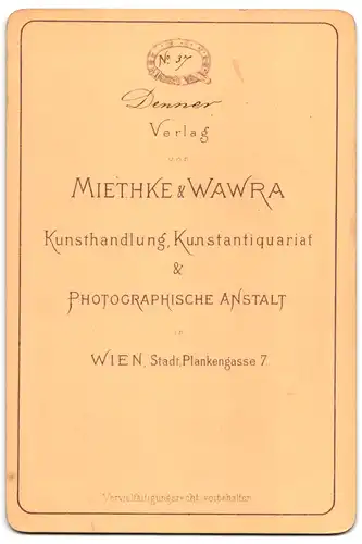 Fotografie Miethke & Wawra, Wien, Stadt. Plankengasse 7, Gemäldenach Balthasa Denner  alte Frau 