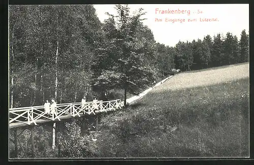 AK Frankenberg i. Sa., Am Eingangee zum Lützeltal