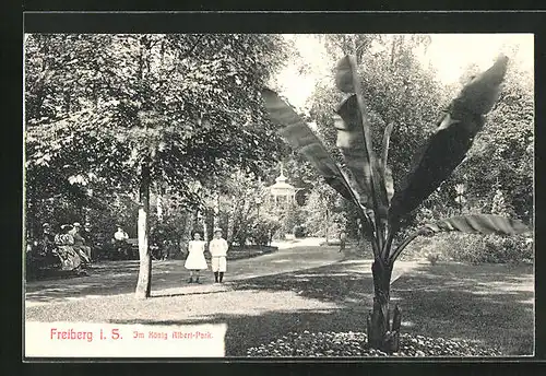 AK Freiberg i. Sa., Spaziergänger im König Albert-Park