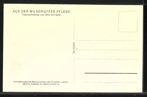 AK Wilsdruff, Blick in den Hof einer Wirtschaft