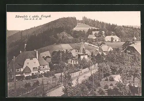 AK Bärenfels /Erzgeb., Panorama