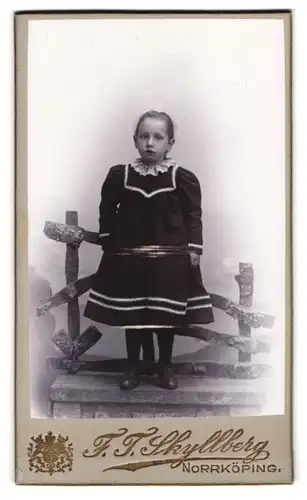 Fotografie F. J. Skyllberg, Norrköping, Gamla Radstugatan 40, Portrait niedliches Mädchen im Kleid am Holzzaun stehend