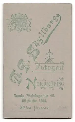 Fotografie F. J. Skyllberg, Norrköping, Gamla Radstugatan 40, Portrait niedliches Mädchen im Kleid am Holzzaun stehend