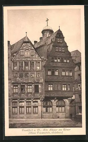 AK Alt-Frankfurt, Alte Häuser am Römer