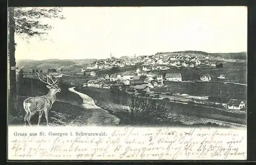 AK St. Georgen / Schwarzwald, Panoramablick vom Berg
