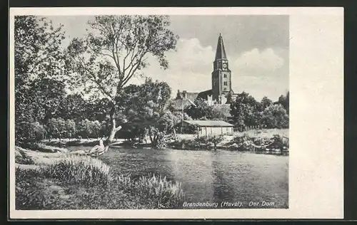 AK Brandenburg / Havel, Blick zum Dom