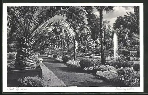 AK Bad Pyrmont, im Palmengarten