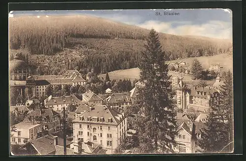 AK St. Blasien, Blick auf die Villen mit Waldblick