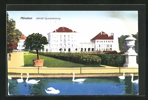 AK München-Nymphenburg, Schwäne vor dem Schloss Nymphenburg