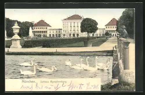AK München-Nymphenburg, Schloss Nymphenburg, Schwanenteich