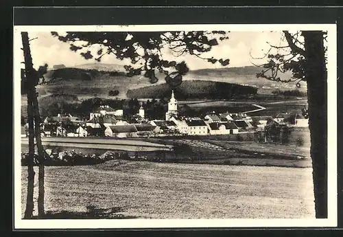 AK Petrovice u Sedlcan, Celkový pohled